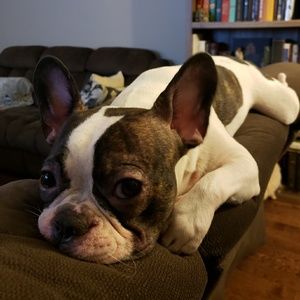 Meet your Posher, Lisa